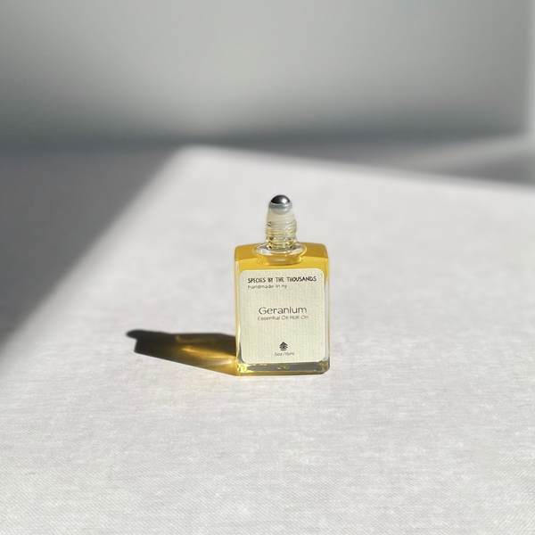 Species by the Thousands Geranium Essential Oil Roll On in a square glass bottle with a beige paper label.