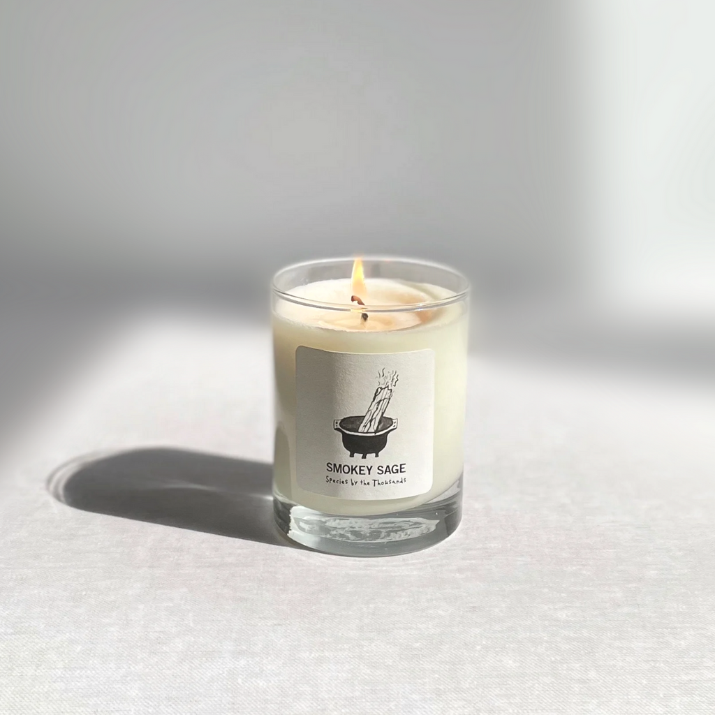 Species by the Thousands Smokey Sage candle with a drawing of a cauldron with sage burning on the candle label.
