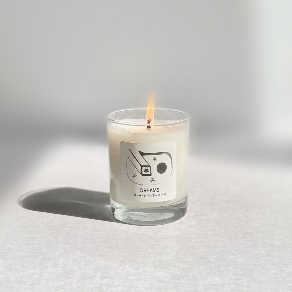 Species by the Thousands Dreams candle with black line drawing on white paper label.