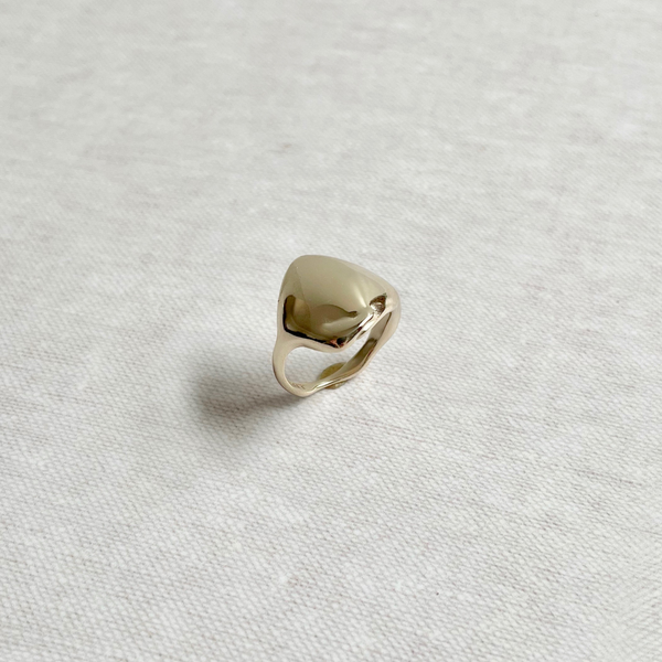 Species by the Thousands brass signet ring.